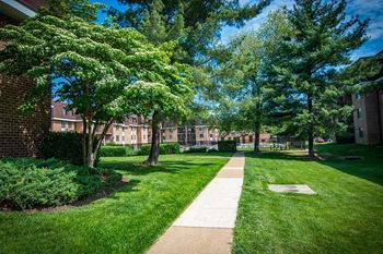Oakton Park Apartments Picnic Area
